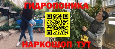 PSILOCYBIN Гагарин