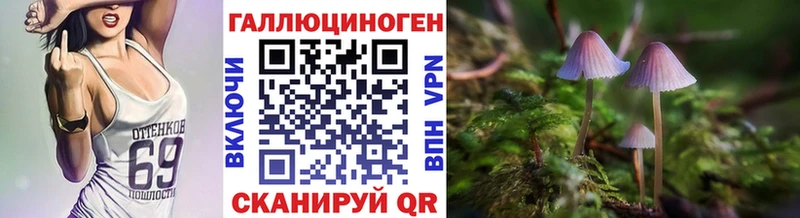 Галлюциногенные грибы Cubensis  закладка  Старая Купавна 