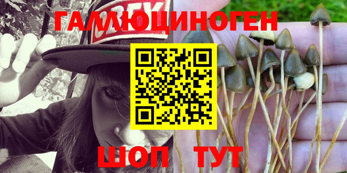 Псилоцибиновые грибы MAGIC MUSHROOMS  Старая Купавна 