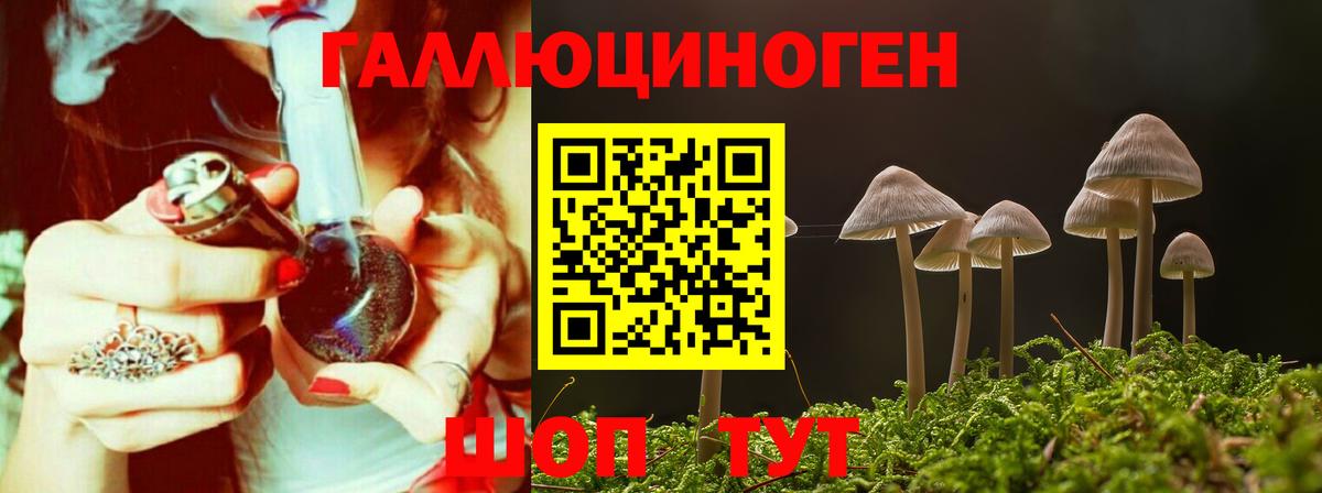 Галлюциногенные грибы GOLDEN TEACHER  Вход с VPN  Старая Купавна 