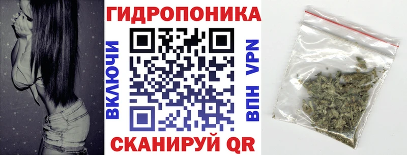 где найти наркотики  Старая Купавна  мега как зайти  Каннабис ГИДРОПОН 